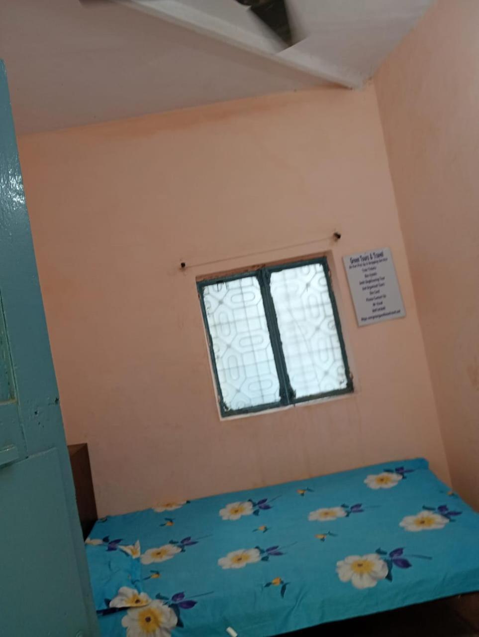 Ever Green Guest House Travel & Pg New Delhi Extérieur photo