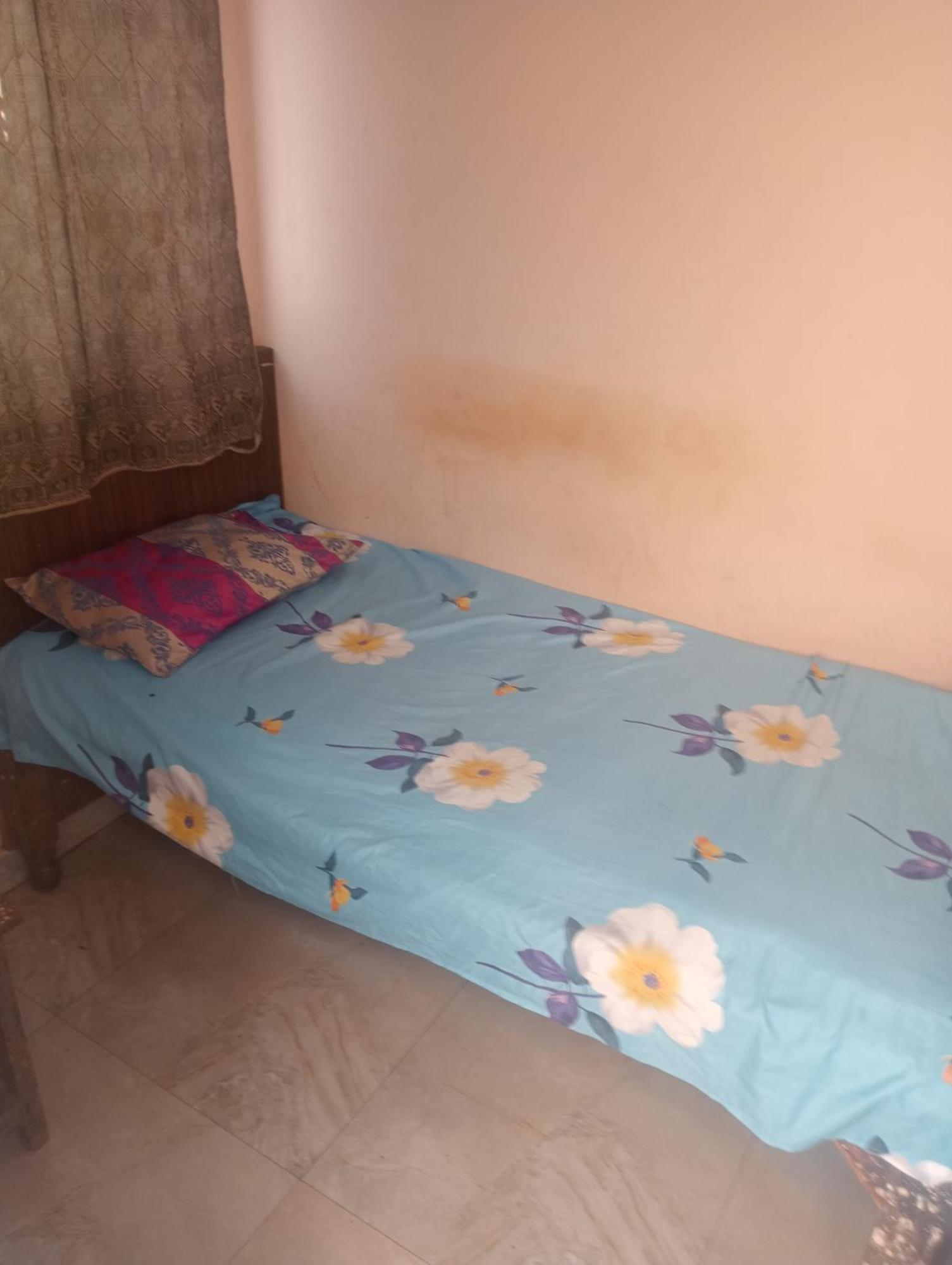Ever Green Guest House Travel & Pg New Delhi Extérieur photo