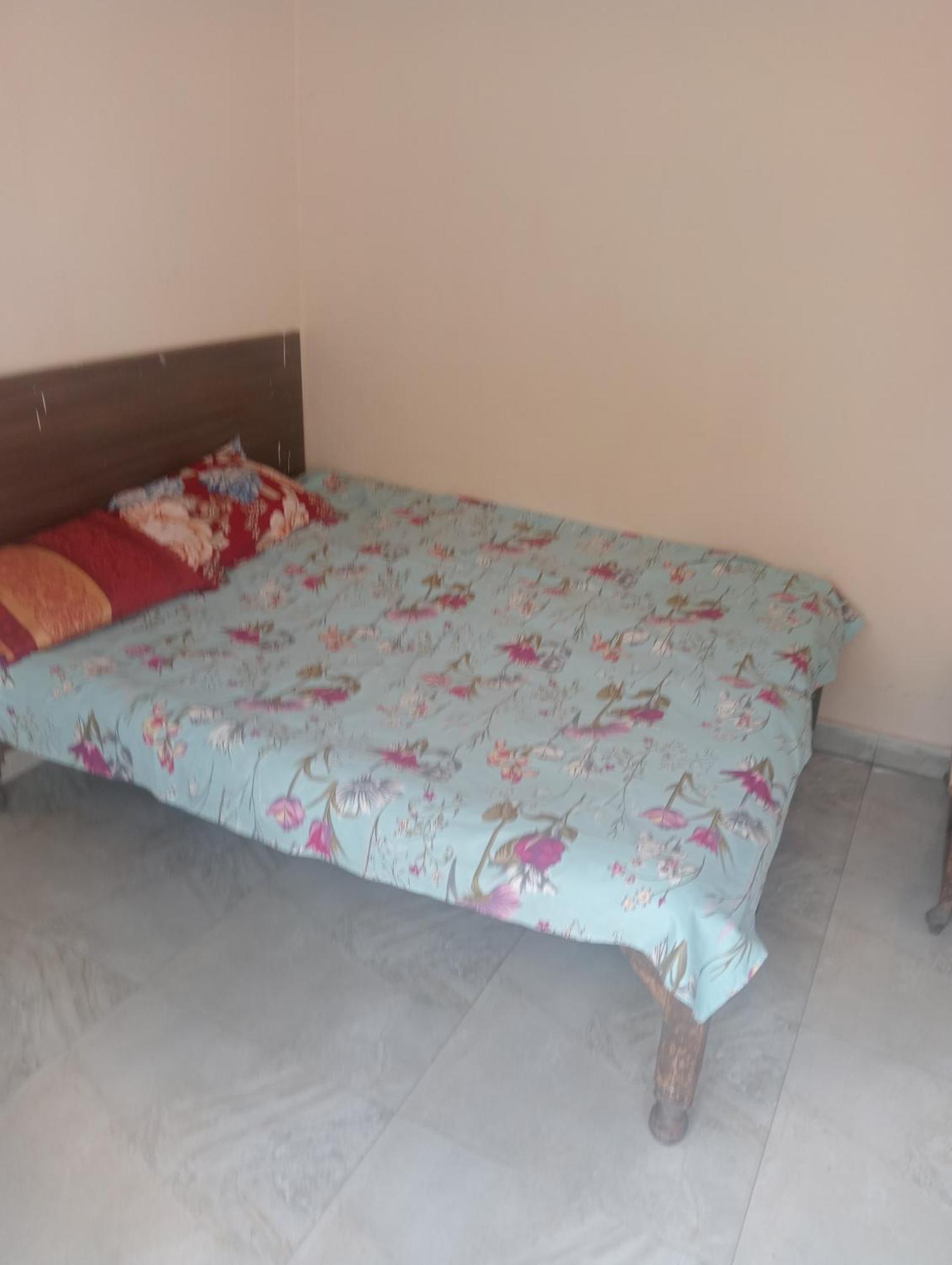 Ever Green Guest House Travel & Pg New Delhi Extérieur photo